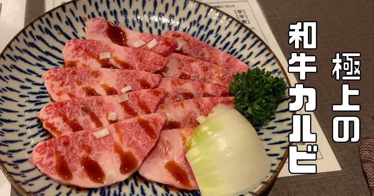 焼肉ホルモンせがれ豊田市の肉が上質過ぎる！メニューや営業時間まとめ