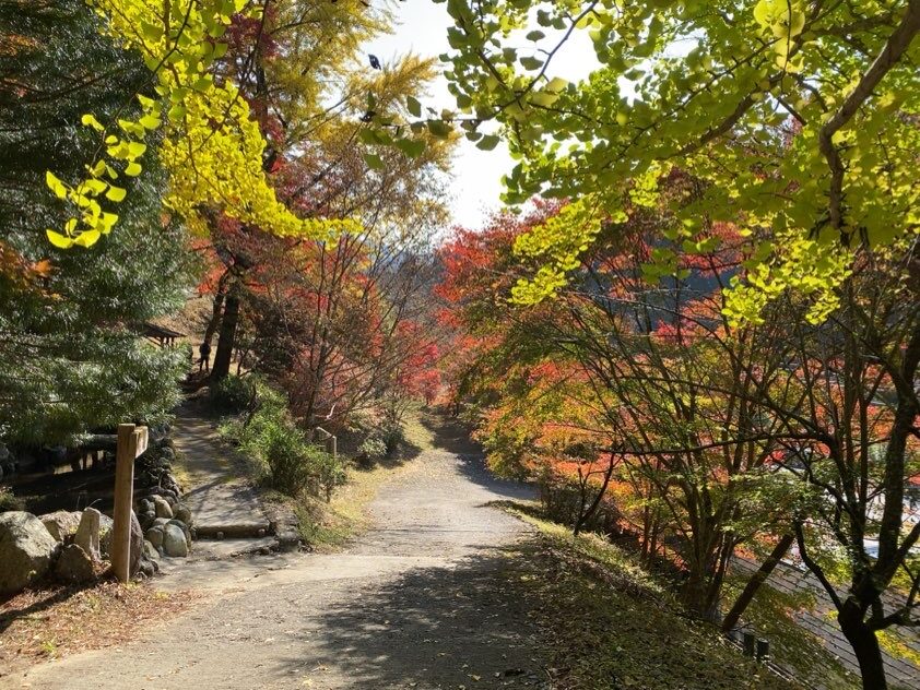 大井平公園の紅葉