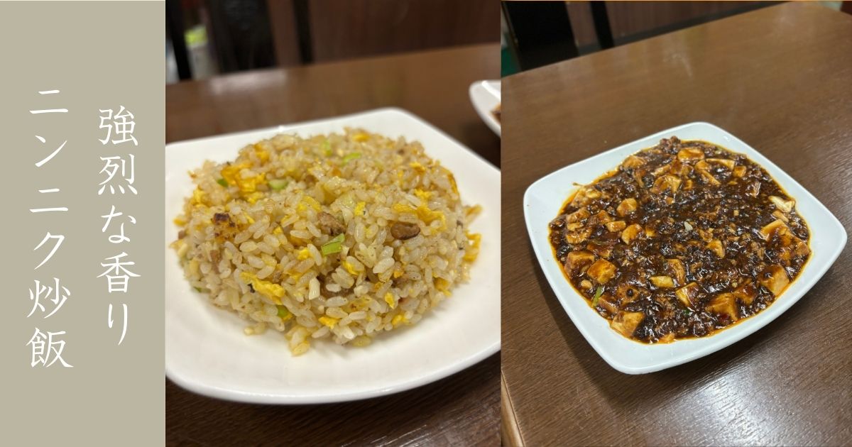 華龍 日南店のニンニク炒飯が強烈過ぎたっ！全ての匂いをニンニクに変える勢いやったで。
