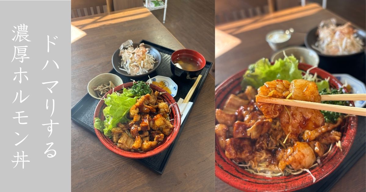 なごみ屋（豊田市） 濃厚で脂たっぷりなホルモン丼がバチボコに美味かった！メニュー情報まとめ
