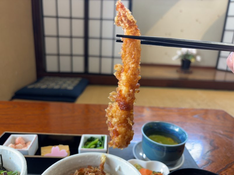 日本料理おか山(豊田市) 天丼の海老天