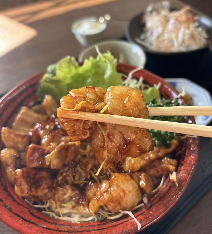 なごみ屋(豊田市) ホルモン一口