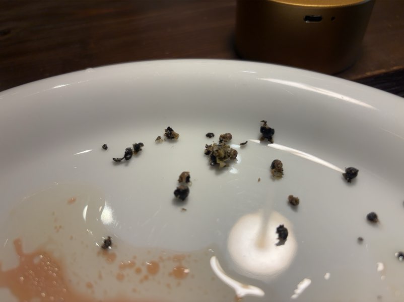 OSTERIA LUN FUJIMOTO di MON CAFE 鴨肉で使ってる胡椒