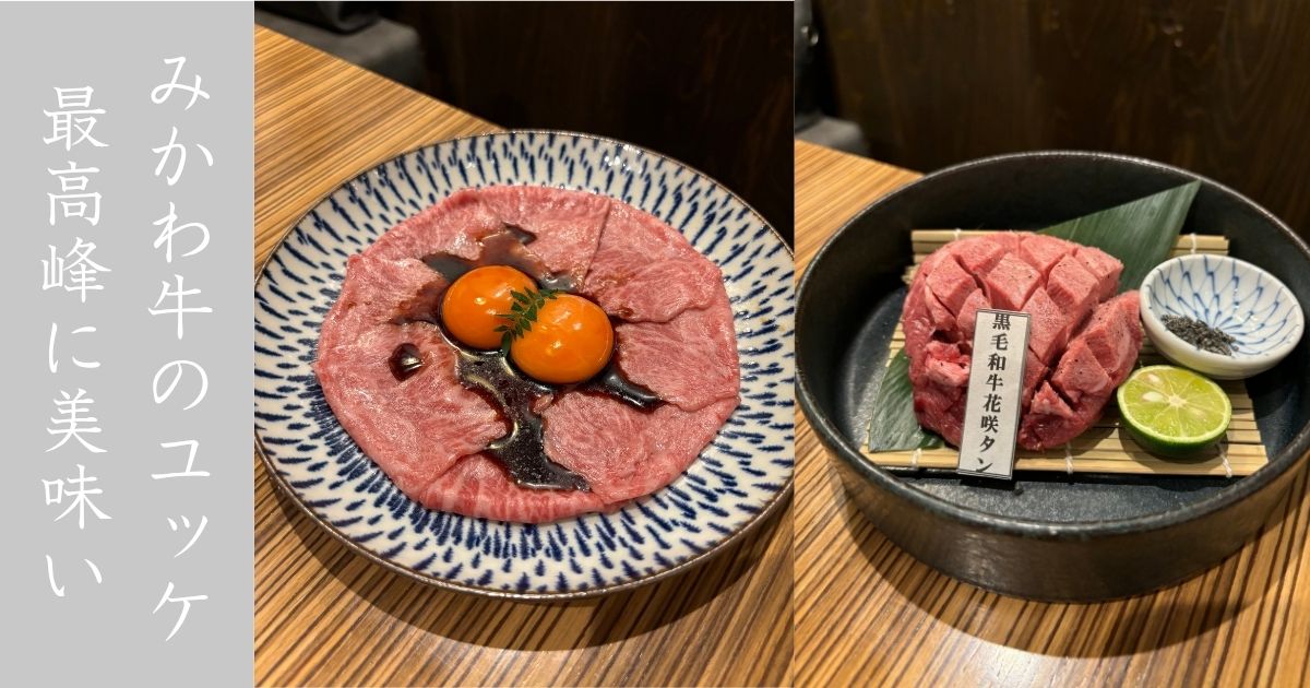 焼肉ホルモンせがれ みかわ牛のミスジゆっけが極上過ぎる！メニューも店内もリニューアルしてた