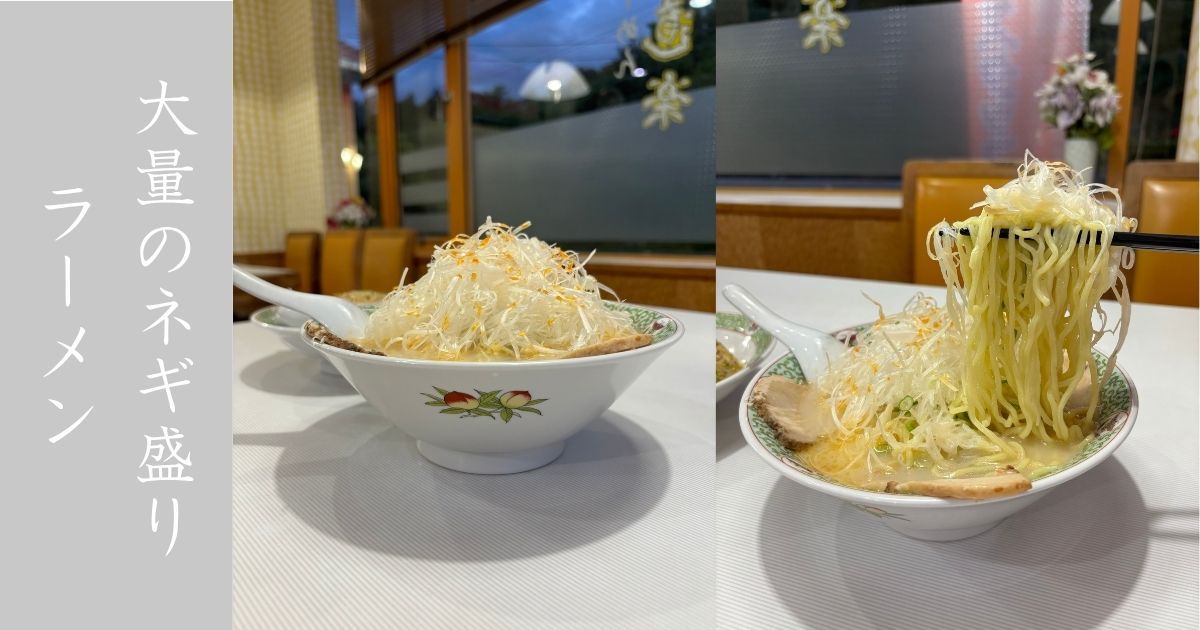 らーめん道楽（豊田市） ネギ大量のチャーシュー麺のビジュが良い！メニュー情報まとめ
