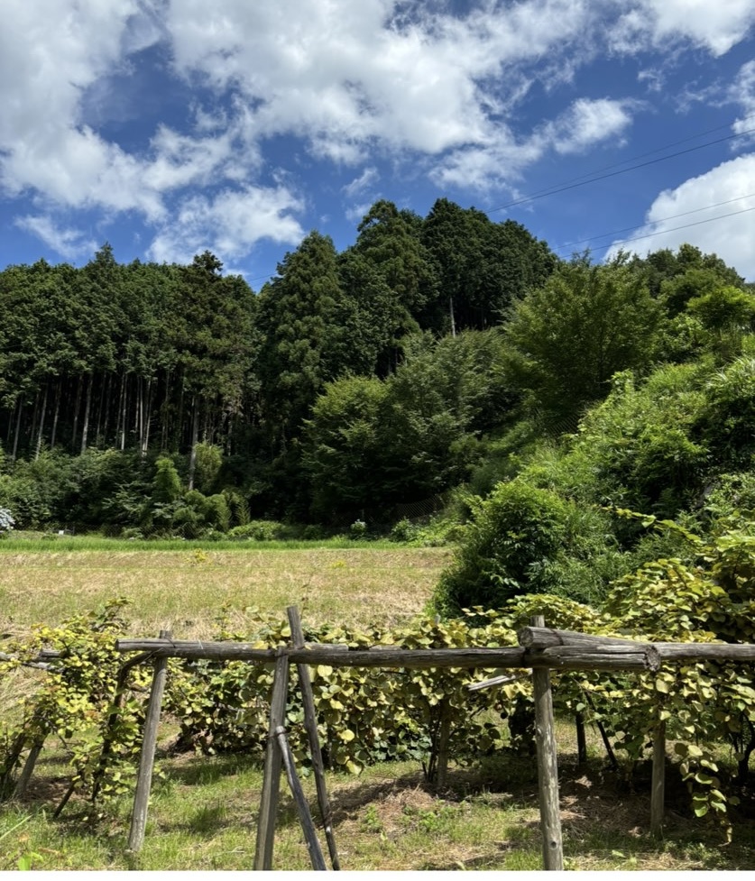 喫茶室 転々(豊田市) まわりの風景