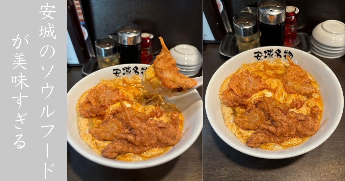 北京本店（三河安城） 安城のソウルフード『北京飯』が美味すぎた！卵が異常に美味くておススメ