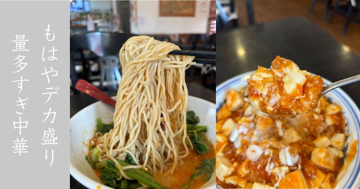 中華料理 九龍城 豊田店　量がバグってる激安の中華ランチ食べてきた。大食いじゃなきゃ食べきれん