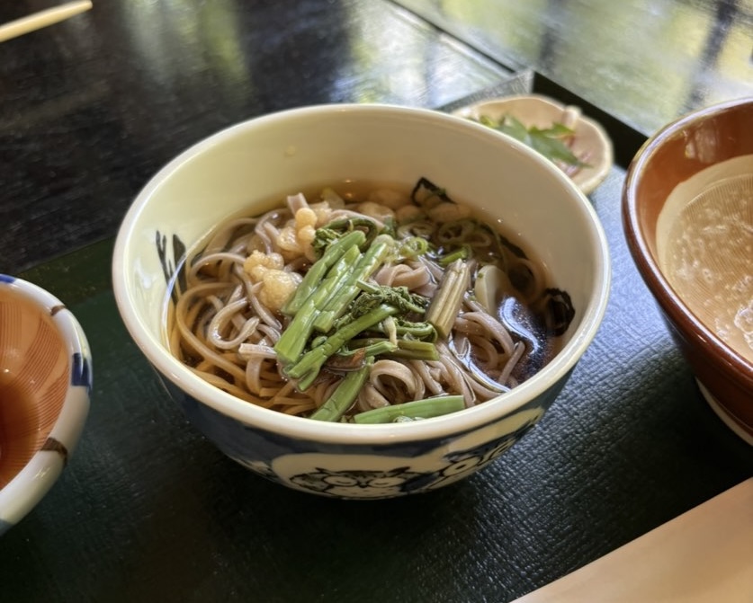 天下茶屋（豊田市）　半そば