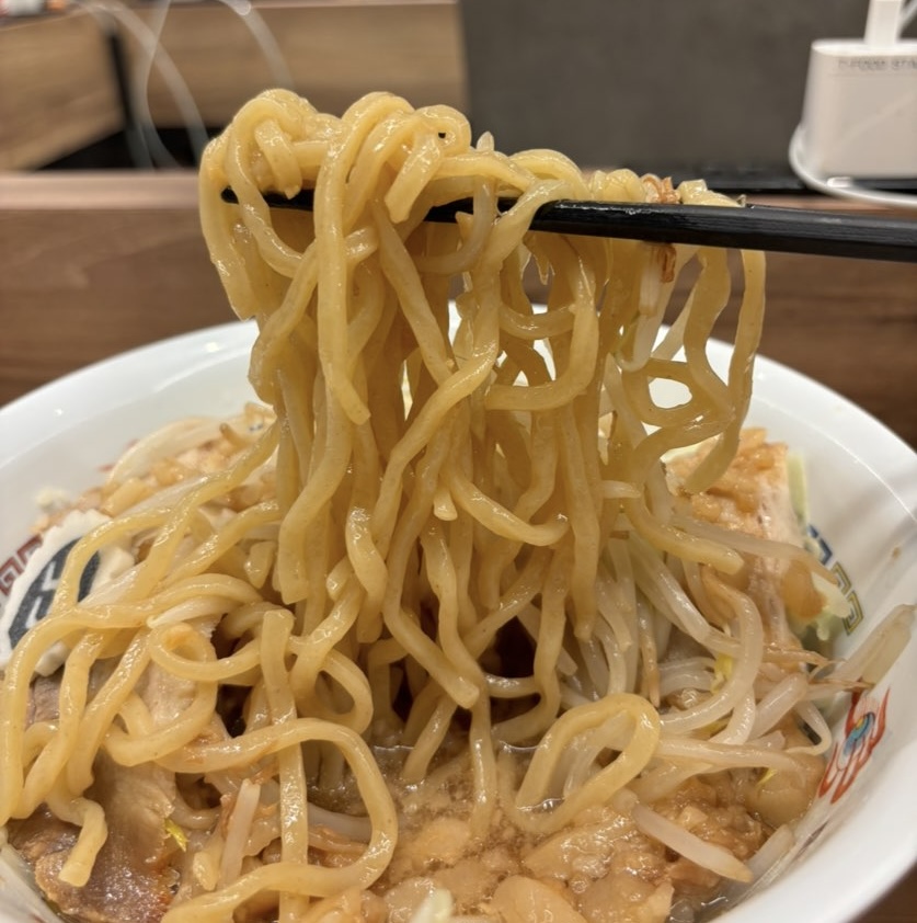 つけ麺ラーメン フジヤマ55(豊田市) TーSTAジローの麺