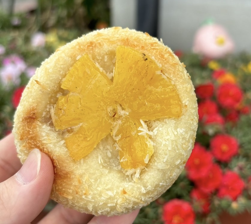 ダーシェンカ・菜 豊田店 ココパイン