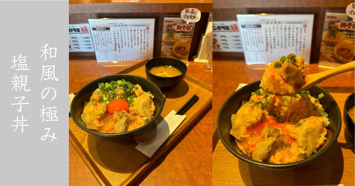 銀鯱食堂（ギンシャチショクドウ） 塩親子丼が和を強く感じるグルメだった！移転後に初めて来店