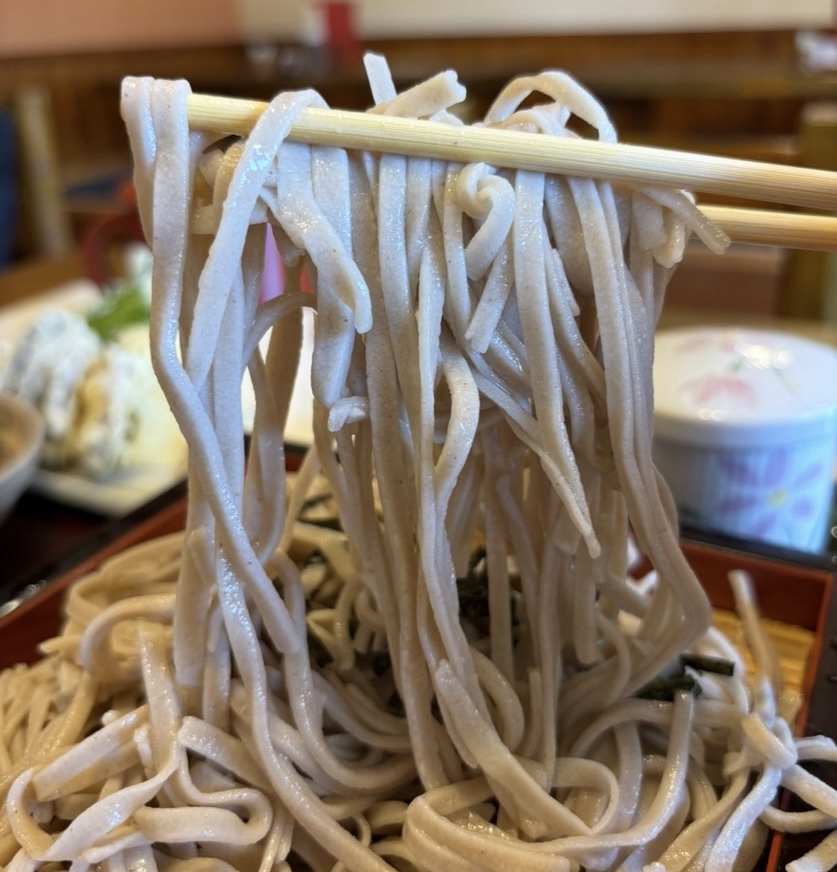 そば工房すもも（豊田市）　ざるそば一口