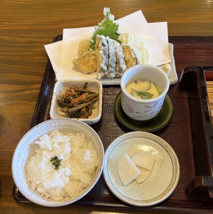 そば工房すもも（豊田市）　ざるそばランチのセット