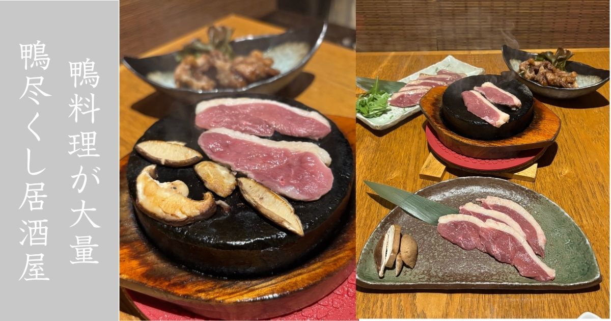 JAPANESE DINING 花蔵（豊田市） 豊富な鴨料理が最高やった。海鮮料理も美味しくてシンプルにおすすめ！