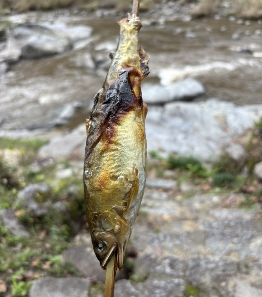 香嵐渓もみじまつり2025　屋台の鮎の塩焼き