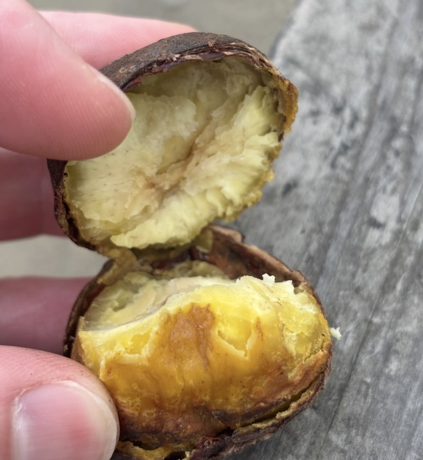 香嵐渓もみじまつり2025　屋台の京やきぐり