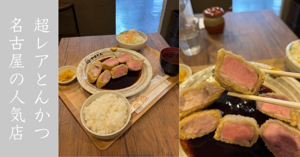 厚切りレアとんかつ やまとん 岡崎店 閉店前に味噌レアカツを食べてきた！