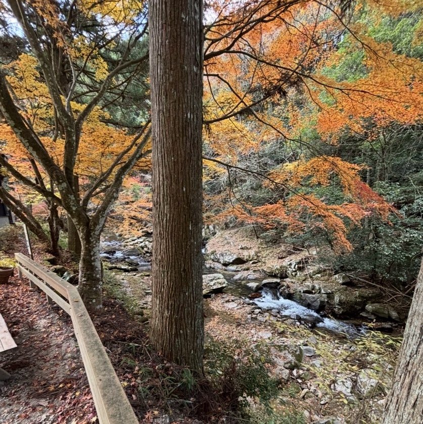 せせらぎの厨 すずしろ(豊田市) お店の裏にある川