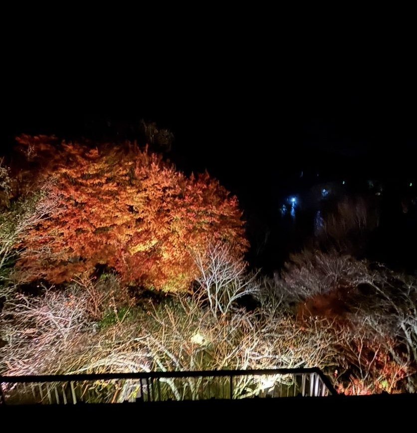 三河路(豊田市) 店内雰から見える紅葉