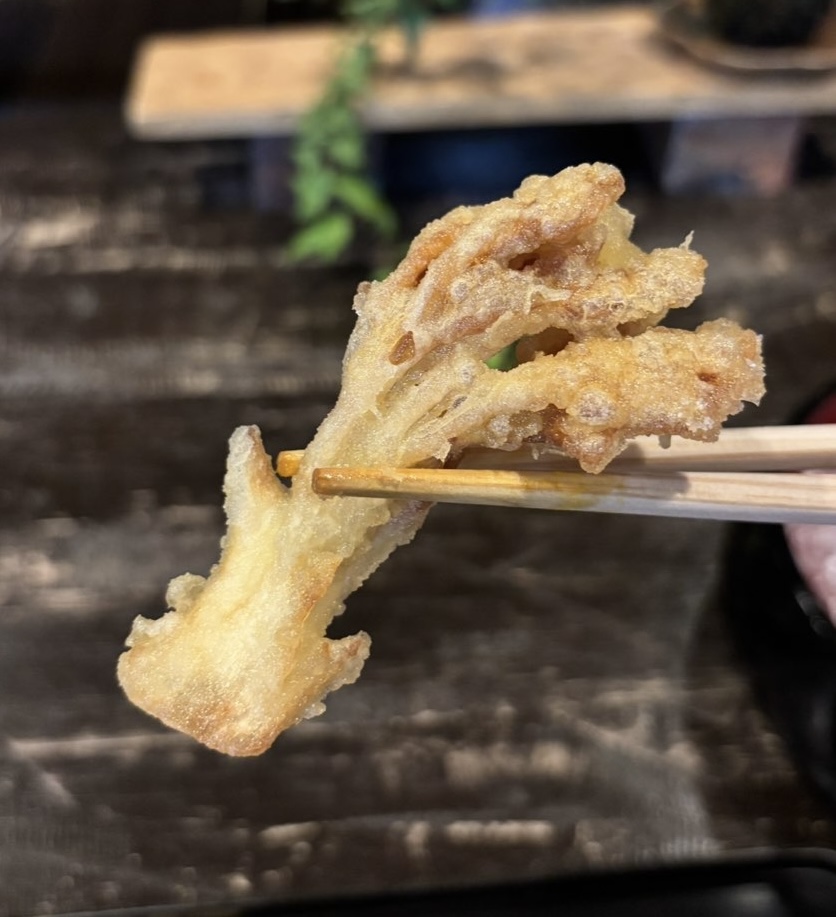 三河路(豊田市) 天ぷら