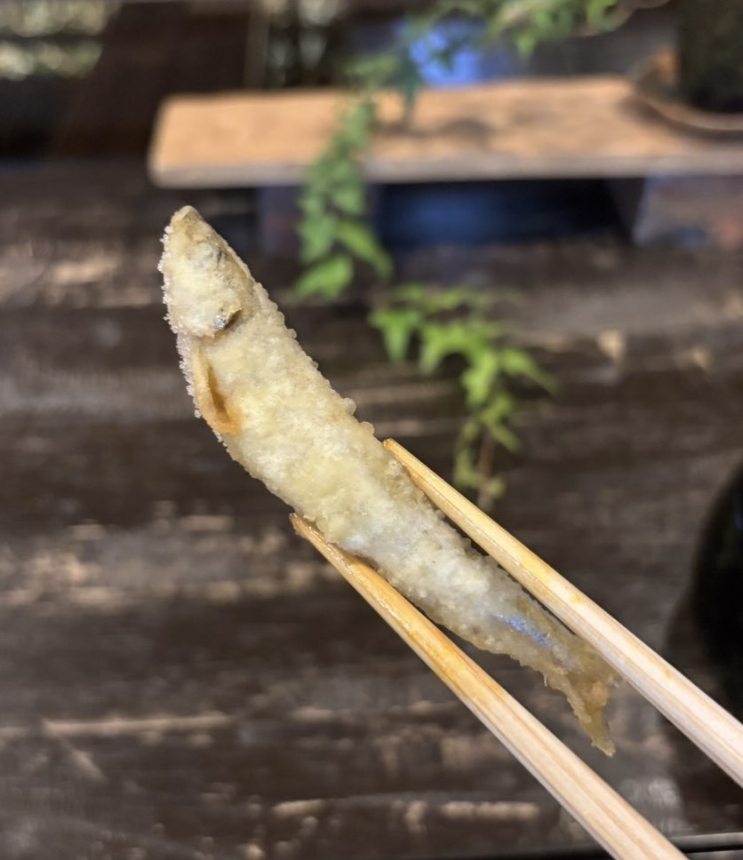 三河路(豊田市) 天ぷら