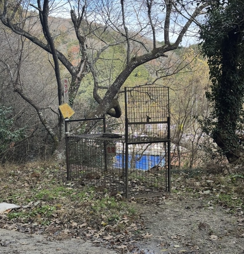 滝川ふれあい工房(豊田市) 猪を捕まえる罠
