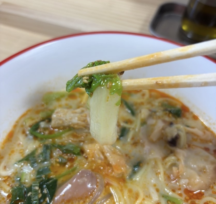 麻辣燙(マーラータン) 豊田市山之手 麻辣湯の具