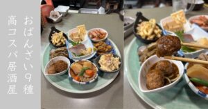 たけうち食堂（豊田市） 9種のおばんざいの晩酌セットが引くほど安い！メニュー情報まとめ