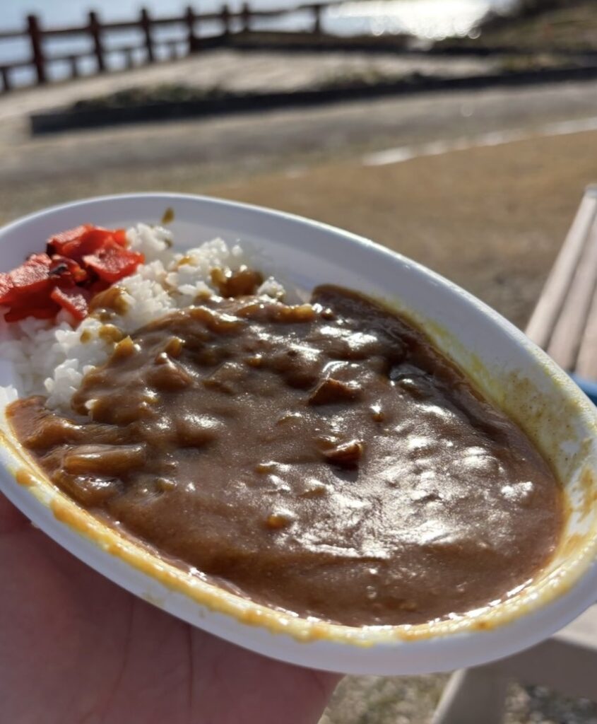 フジファミリーショップ前山店　カレー