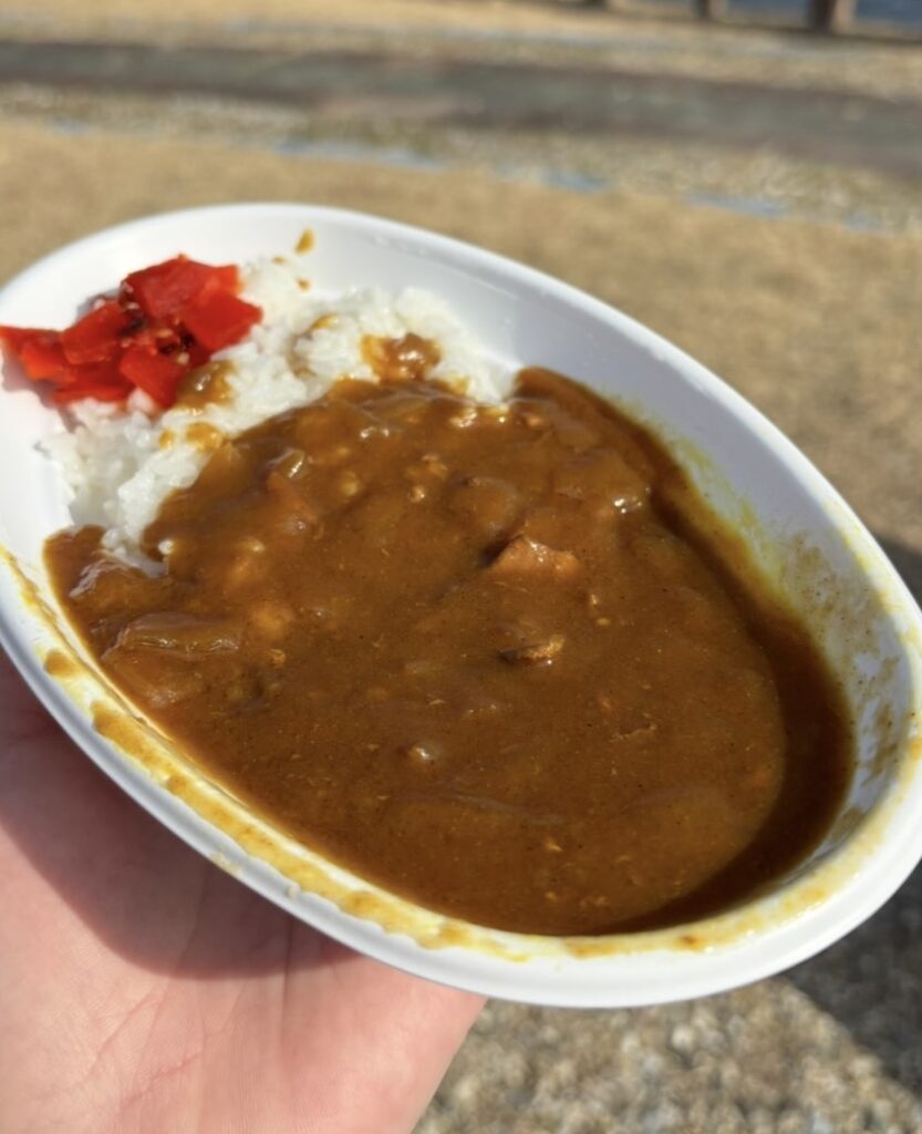 フジファミリーショップ前山店 カレー