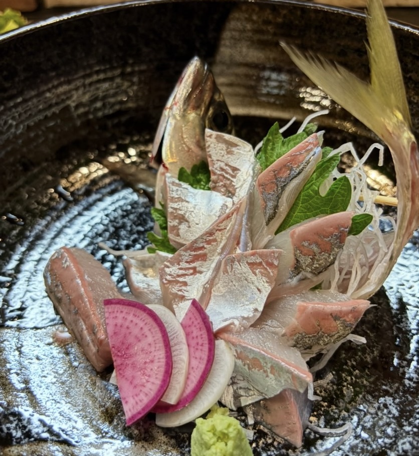 圭五（豊田市梅坪）　アジのお造り