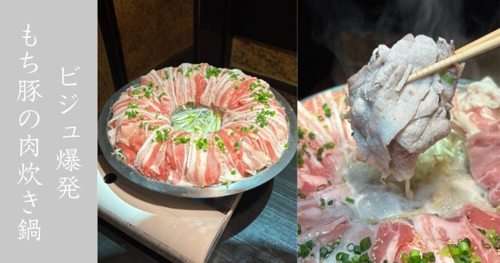 峻 （shun）豊田市駅 最高のビジュの三河もち豚肉炊き鍋食べてきた！メニュー情報まとめ