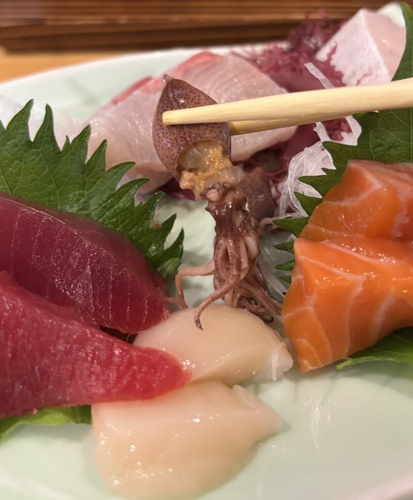 炉ばた すず㐂（豊田市） イカの刺身
