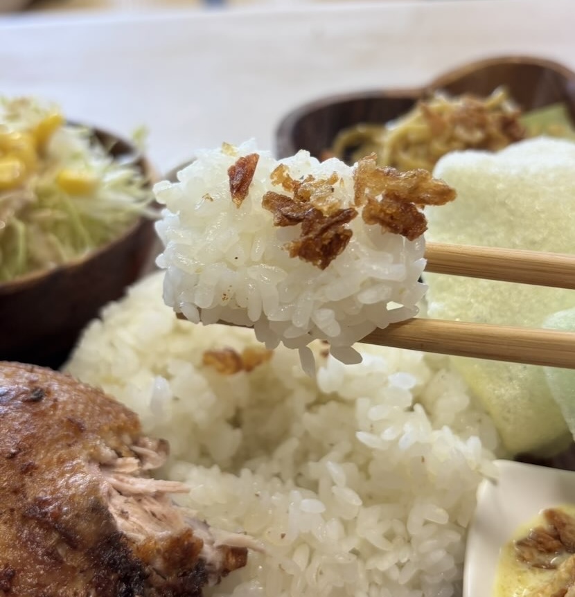 ガルーダ&スディマンピール(豊田市) ごはん