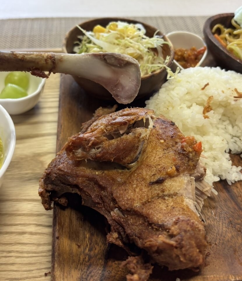 ガルーダ&スディマンピール(豊田市) ベベック ナシ チャンプル