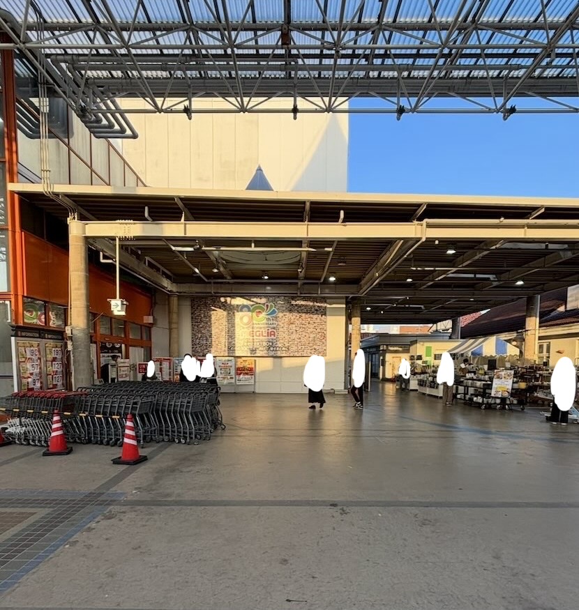 豊田メグリア本店