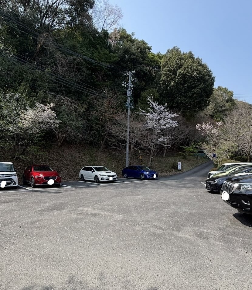 さくら亭 豊龍閣(豊田市) 駐車場