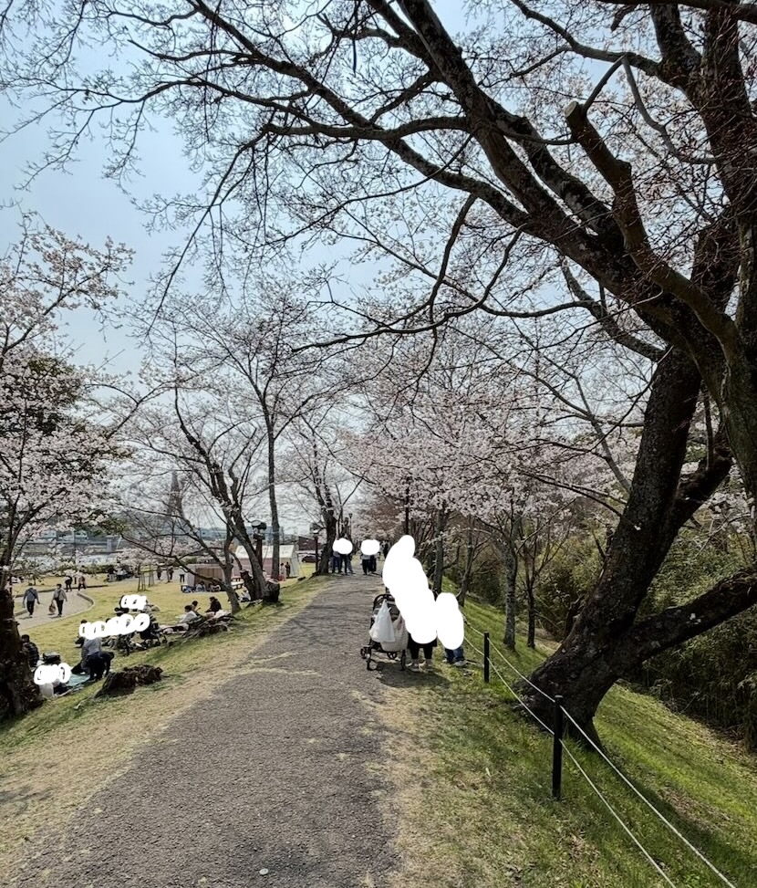 さくら亭 豊龍閣(豊田市) 桜