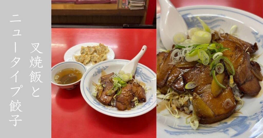 小坂飯店（豊田市） 餃子の見た目がすんごい！これがニュータイプの餃子なのだ！メニューまとめ