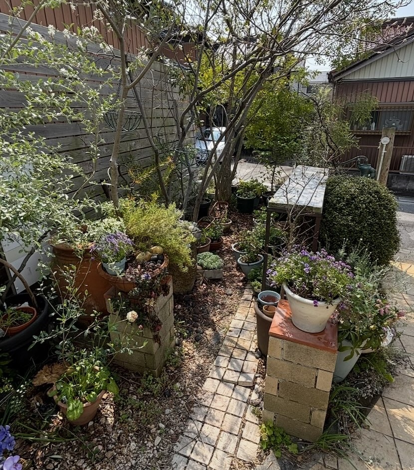 Halleloo Garden（みよし市）　庭