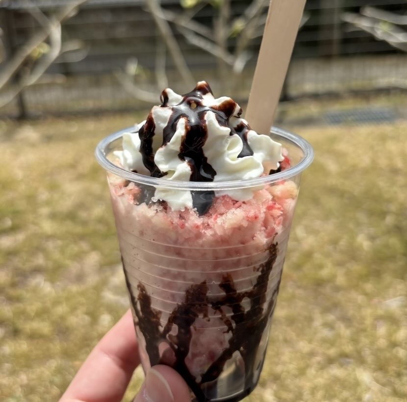 ふじまつり2026（豊田市）　いちご削り