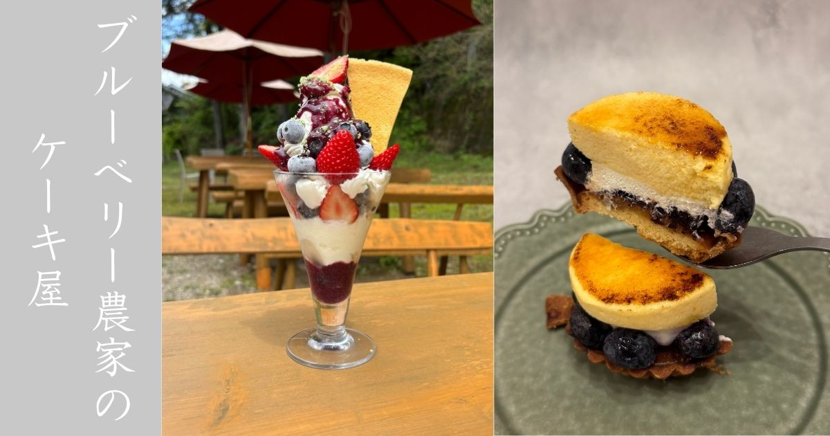 ブルーベリーのこみちのケーキ屋さん マコのお店でスペシャルパフェとケーキ爆食いしてきた！メニューまとめ
