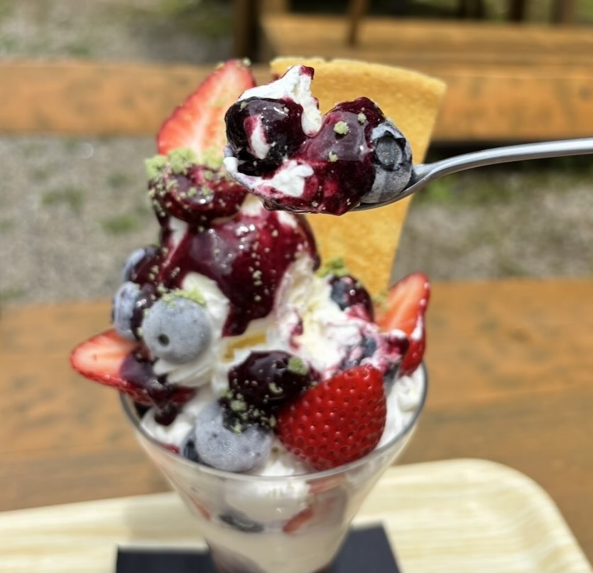 ブルーベリーのこみちのケーキ屋さん マコのお店　スペシャルパフェ