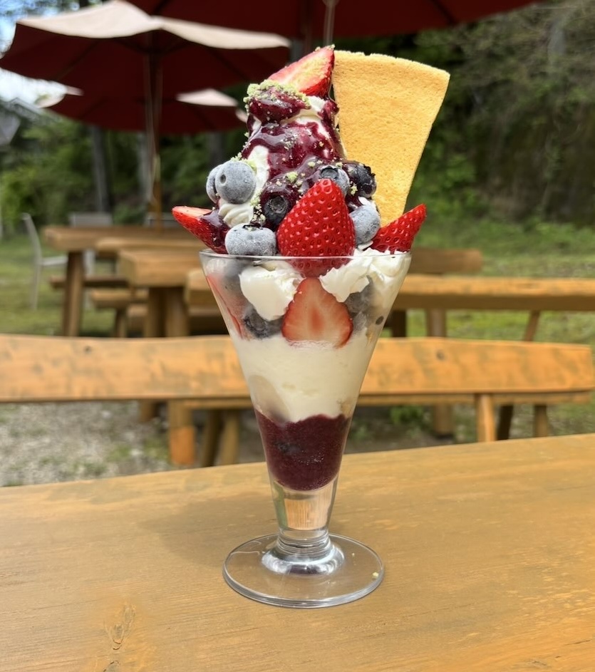ブルーベリーのこみちのケーキ屋さん マコのお店　スペシャルパフェ