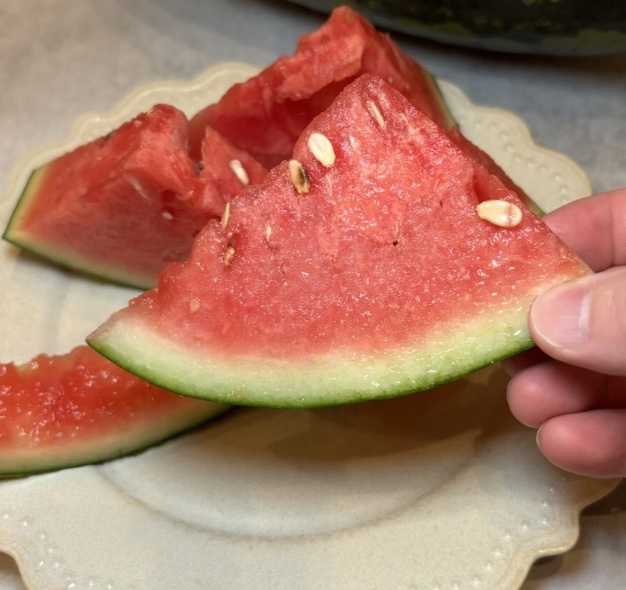 小林農園（豊田市）　ペイズリー