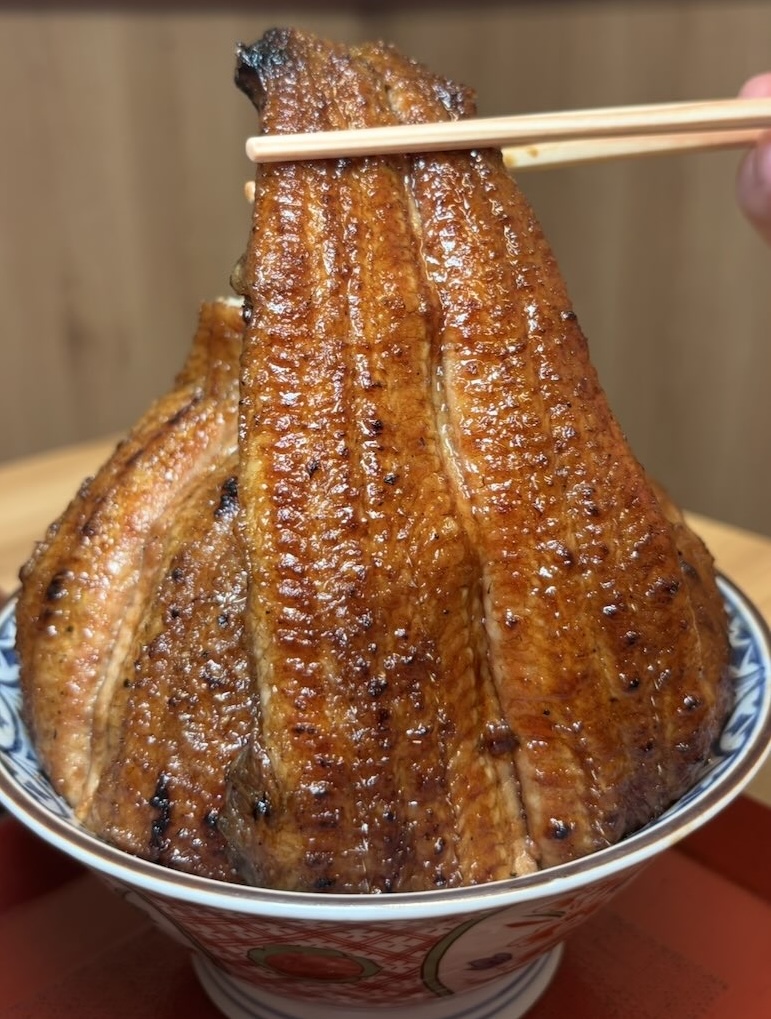 炭火鰻と特選和牛ふじさん 岡崎店 富士マウンテン