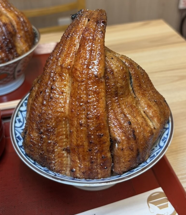 炭火鰻と特選和牛ふじさん 岡崎店 富士マウンテン