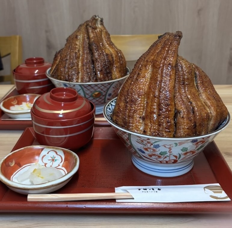 炭火鰻と特選和牛ふじさん 岡崎店 富士マウンテン