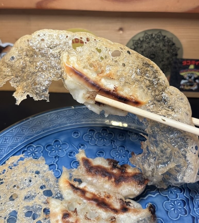 滑板洞(Kappado)豊田市駅 手包み餃子